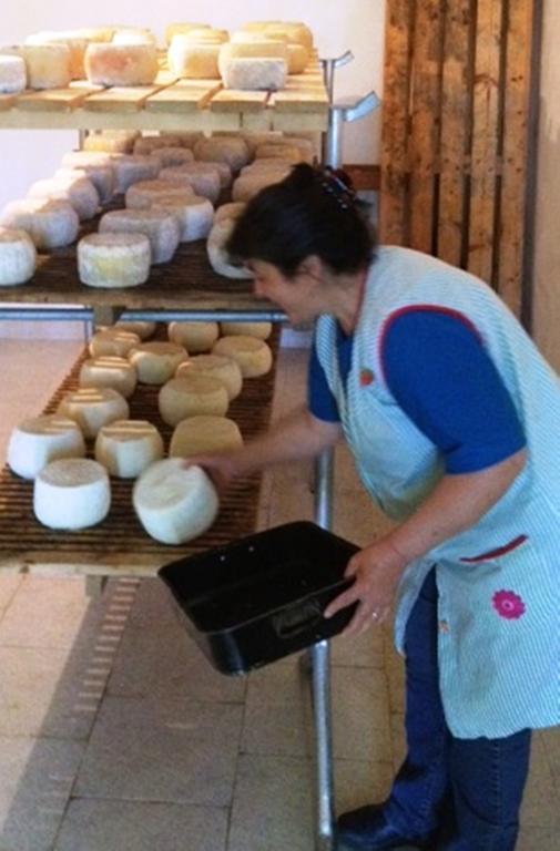 Agriturismo Lu Formaggio Hotel Castelli ภายนอก รูปภาพ